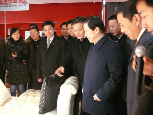 江苏省委书记梁保华来叠石桥调研