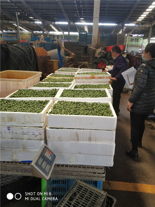 苏中农批中心开展“食安利剑2020”市场专项治理行动